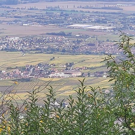 Sur La Route Du Vin Villa Rorschwihr Exteriör bild