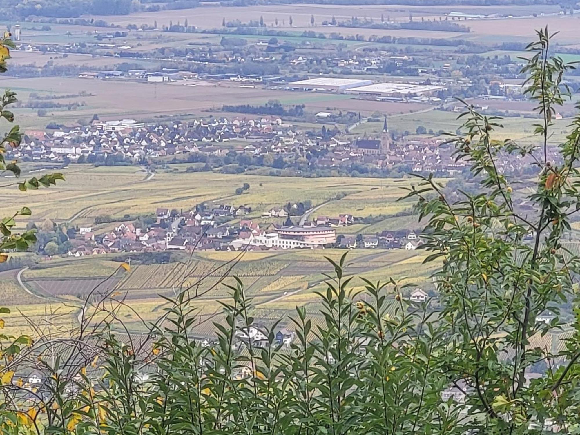 Sur La Route Du Vin Villa Rorschwihr Exteriör bild